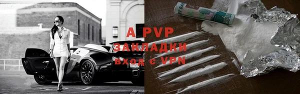 ГАЛЛЮЦИНОГЕННЫЕ ГРИБЫ Каменногорск