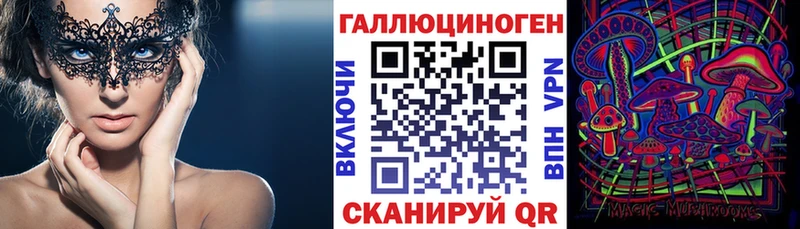 Псилоцибиновые грибы Psilocybine cubensis  Купить где  Всеволожск 